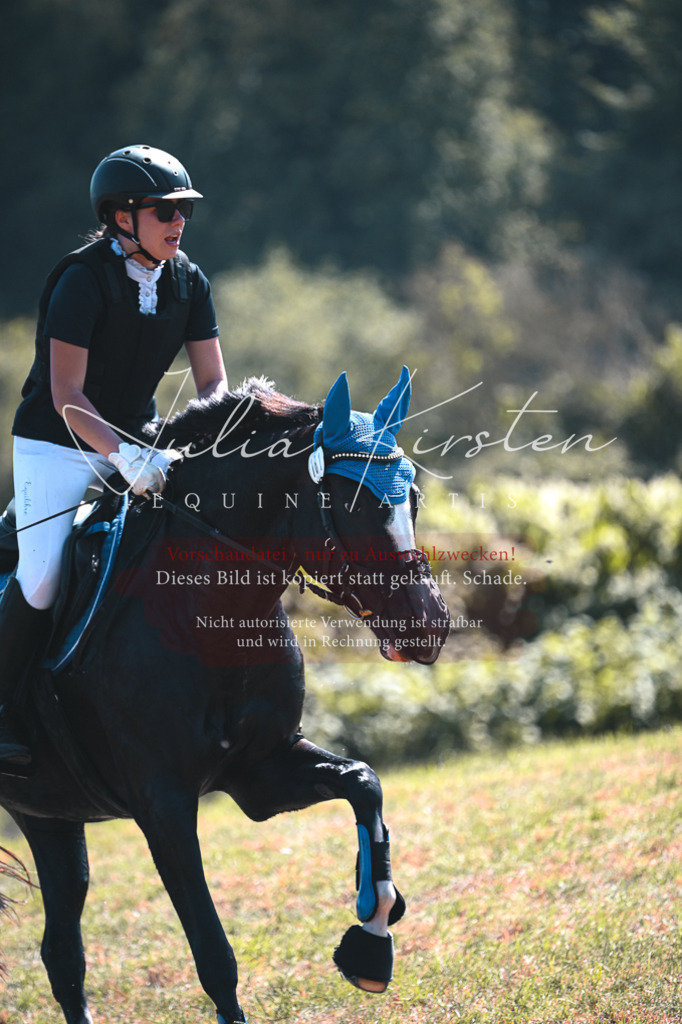 DSC_8119 | Pferde- und Turnierfotografie in Westsachsen. Pferdeportraits, Auftragszeichnungen und intuitive Kunst.