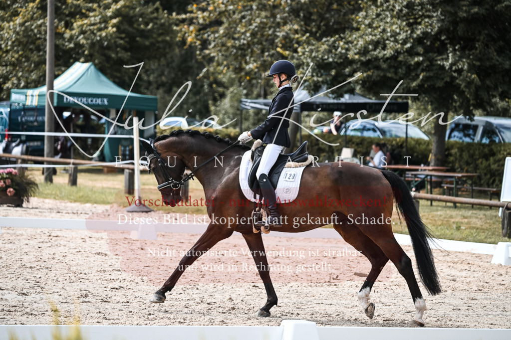 DSC_5215 | Pferde- und Turnierfotografie in Westsachsen. Pferdeportraits, Auftragszeichnungen und intuitive Kunst.