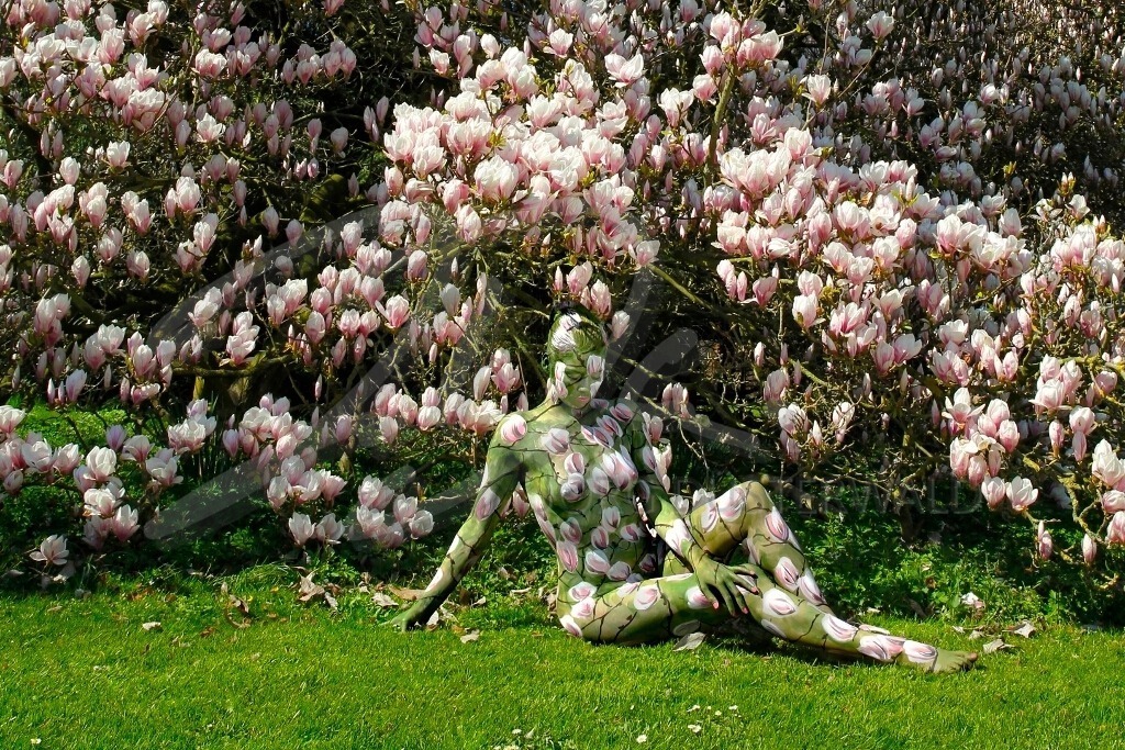 NatureArt-MAGNOLIEN_8509c | Gemütlich vor dem Magnolienbusch | #011 | Modell: Daniela | Foto: Tschiponnique Skupin - Realisiert mit Pictrs.com