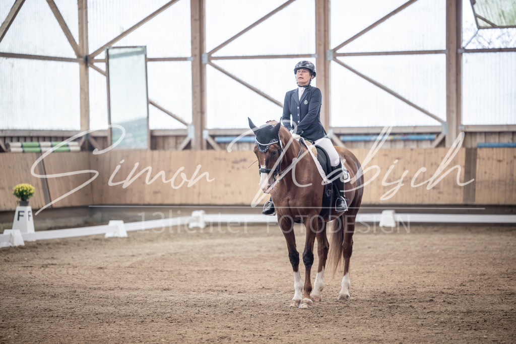 20251011-_3LI1016 | Tierfotografie Pferde, Hunde, Katzen, Haustiere.
Turnierfotografie Reitturniere, Reiten, Springreiten, Dressur in Hanau, dem Main-Kinzig-Kreis und dem Rhein-Main- Gebiet um Frankfurt