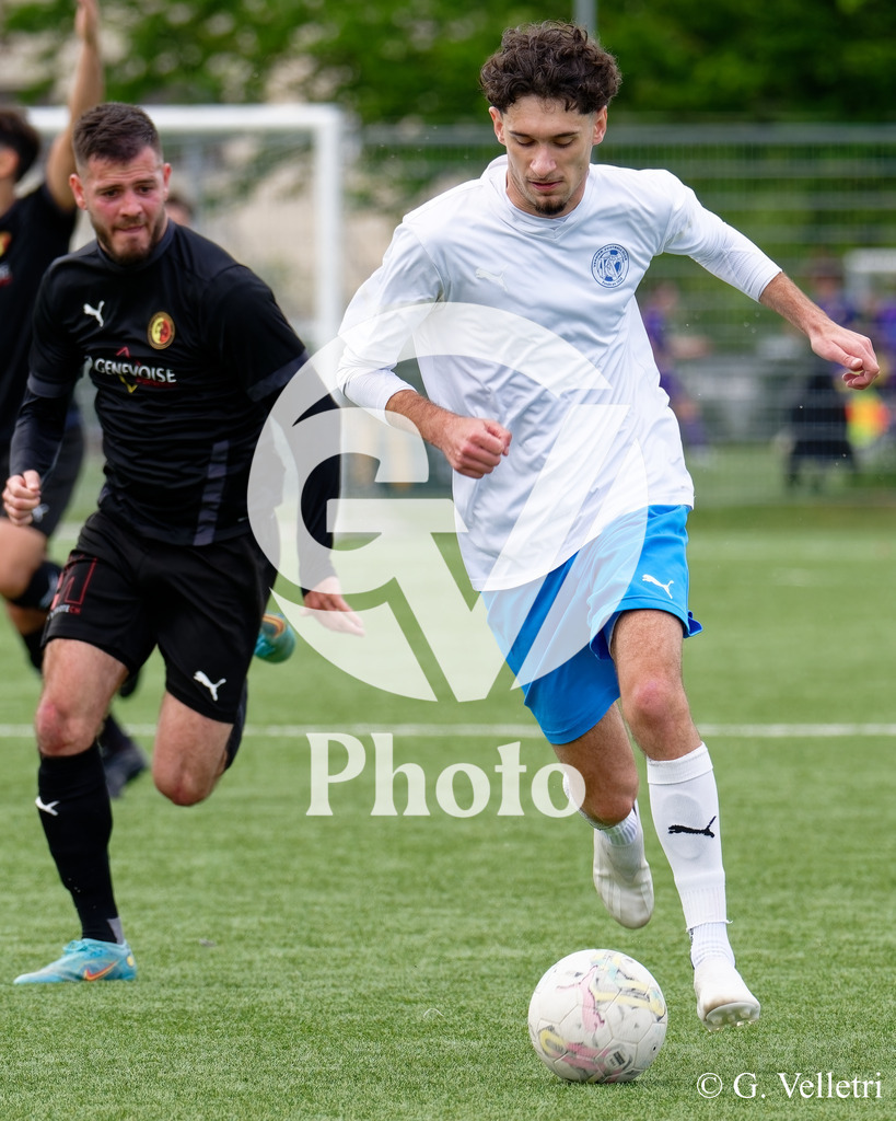 DSC_3365 | Velletri Photo