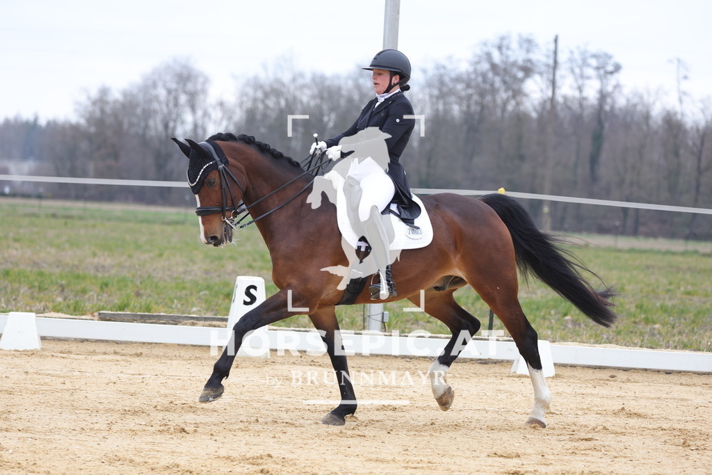 0P6A5220 | Willkommen bei Brunnmayr - Design & Fotografie – Ihrem Spezialisten für Reitturniere und Pferdeveranstaltungen in Oberösterreich, Salzburg und Bayern! Seit über 17 Jahren sind wir leidenschaftlich dabei.