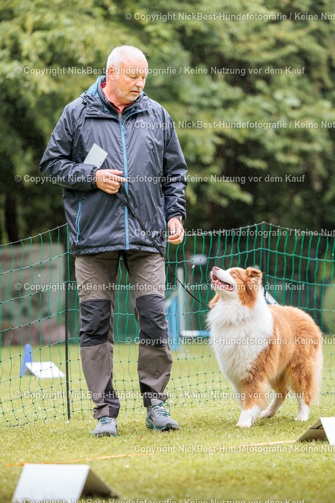 RO-Blumenthal-2026-Nickbest-Hundefotografie-3700 | Dein Hund! Dein Moment! Deine Erinnerungen! Hundefotografie in Bremen Blumenthal. Ich fange die besonderen Momente deines Vierbeiners ein – ob Indoor mit Blitzanlage oder in der freien Natur. Sicher dir dein Moment und dein Termin für eure Erinnerungen.