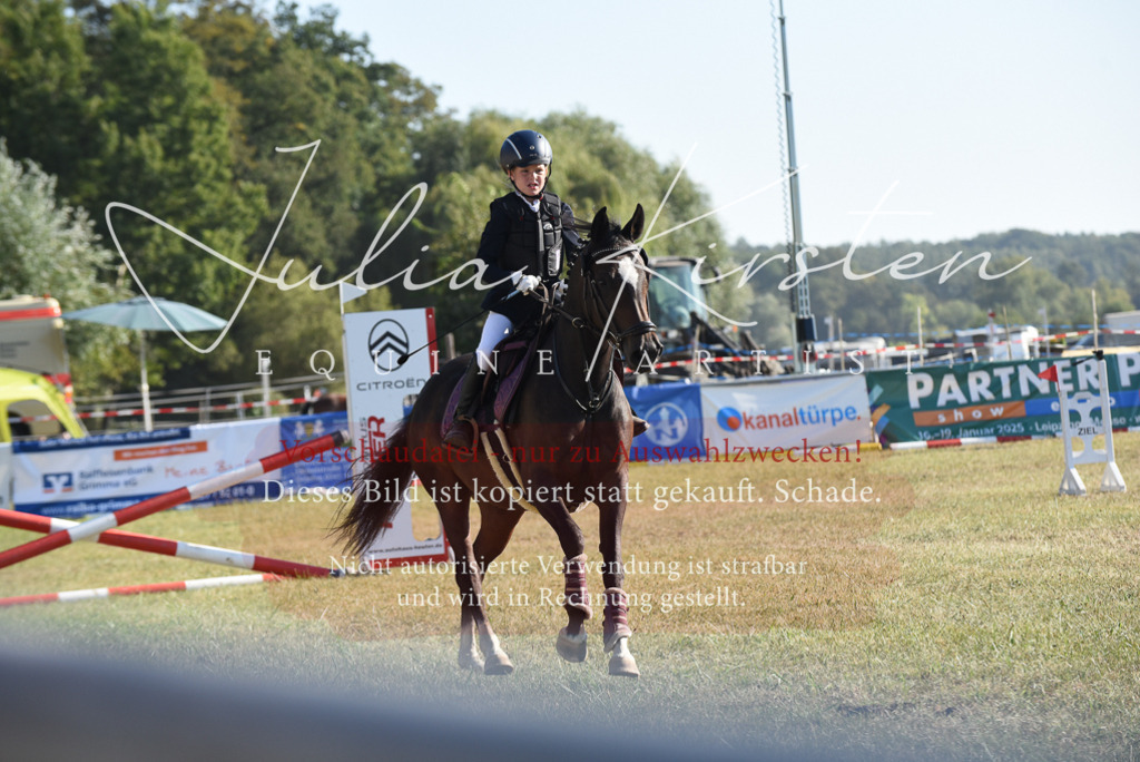DSC_5705 | Pferde- und Turnierfotografie in Westsachsen. Pferdeportraits, Auftragszeichnungen und intuitive Kunst.