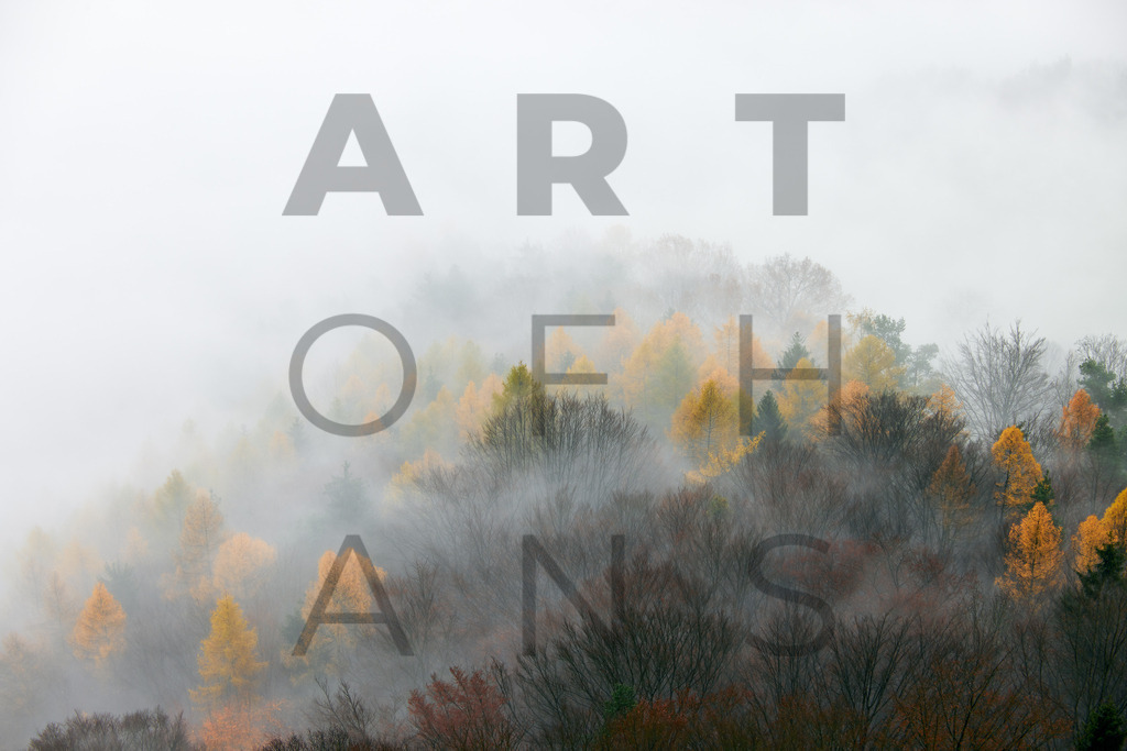 Ein Hans Fineart Original | Entdecke die Kunst von Hans Fineart - Fotografien für dein Zuhause. Verwandle deine Wände mit einzigartigen Kunstwerken und bringe die Schönheit der Welt in dein Leben. Bestelle jetzt und schaffe einen Ort der Inspiration und Eleganz.