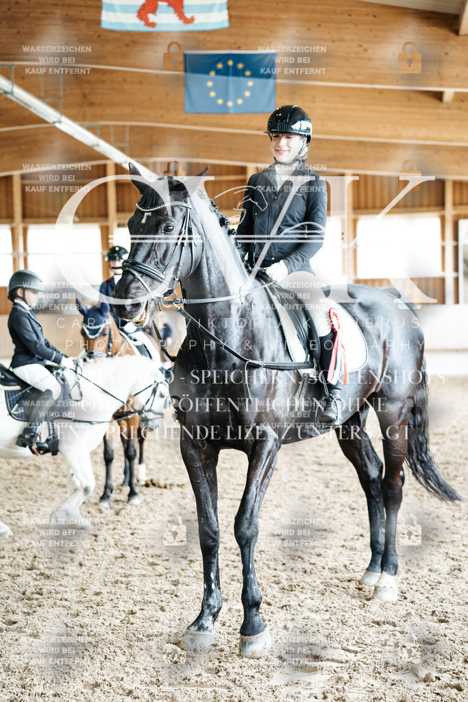 CK703377 | Turnierfotografie Pferdefotografie Trier Rheinland-Pfalz Pferdesport Reitsport Tierfotografie Sportfotografie Pferdevideo Pferdevideografie Equestrianvideography equestrianphotography  - Realisiert mit Pictrs.com