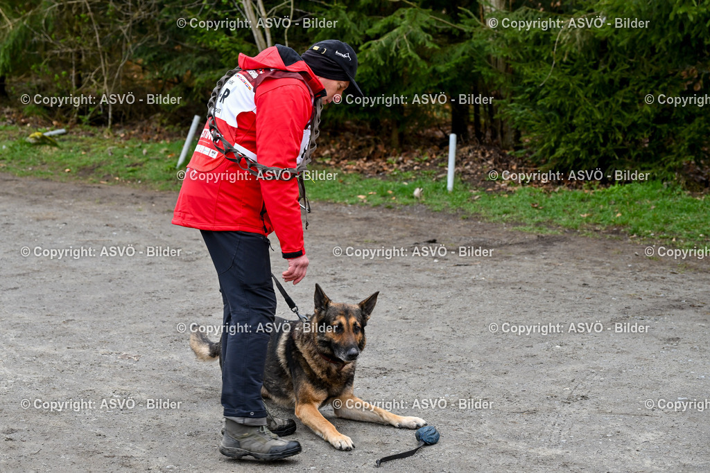 ASVÖ_ Tracking Dog World Championship 2025_ 31.03.2025-44 | 31.03.2025, AUT, ASVÖ, Tracking Dog World Championship // FCI IGP Fährtenhundeweltmeisterschaft 2025©fodo.media / Harald Dostal - Realisiert mit Pictrs.com