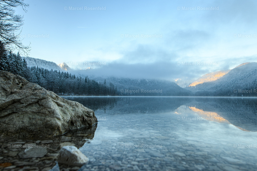 _DSC4519 | foto-rosenfeld