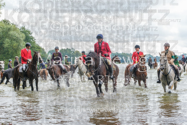 Jagd Perdoel_MarinaHewigDSCF3629 | Fotografie, FotoArt, PferdesportArt, Pferdesportfotografie, Landschaftsfotografie, Reisefotografie, Reise, Pferde - Realisiert mit Pictrs.com