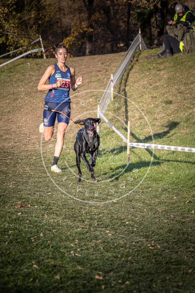 CaniXpix_0L8A9667 | Hundefotografie, Tierfotograf, Pfotenfotografie, Fotoshooting Hund, Hunde Portrait, Hundesport, Hundeportraits, Heideshooting, Hunde, Sportfotograf, Hundefotograf, Turnierhundsport, THS,  - Realisiert mit Pictrs.com