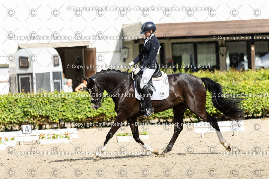 CL5A6015-2 | Emilia Reinking Fotografie - Realisiert mit Pictrs.com