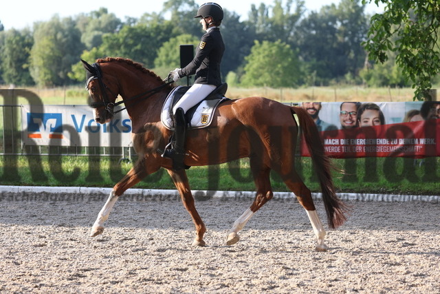 Meißenheim_2023_Prfg.Nr.10_Dressur_Kl.M_Fabienne Fürst_Sir Daily Diamond (2) | Alle Fotos der Reiterjournal Fotografin Doris Matthaes im Reiterjournal Online-Fotoshop. - Realisiert mit Pictrs.com