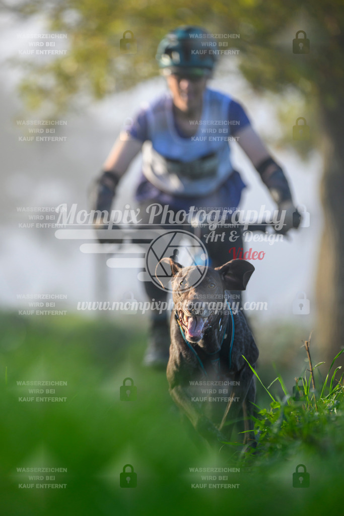 MompixPhotography_20TSB_E3_Bike-66 | PayLife