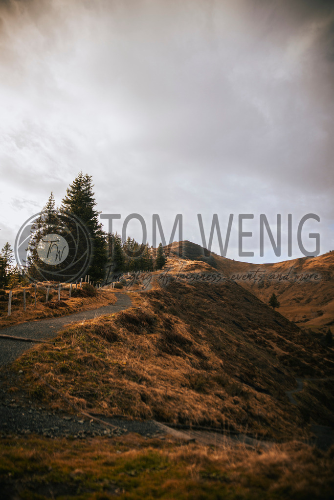 IMG_4783-2 | Fotos:
Tom Wenig
https://www.tomwenig.de - Realisiert mit Pictrs.com