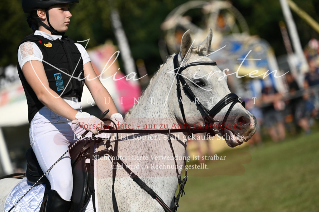 DSC_5260 | Pferde- und Turnierfotografie in Westsachsen. Pferdeportraits, Auftragszeichnungen und intuitive Kunst.