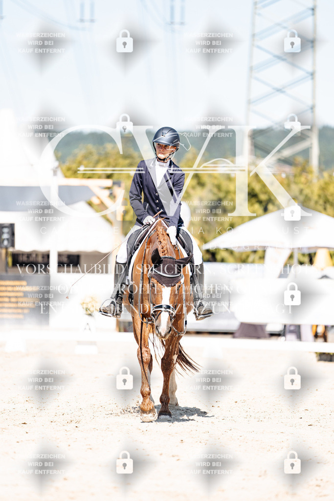 CK909387 | Turnierfotografie Pferdefotografie Trier Rheinland-Pfalz Pferdesport Reitsport Tierfotografie Sportfotografie Pferdevideo Pferdevideografie Equestrianvideography equestrianphotography  - Realisiert mit Pictrs.com