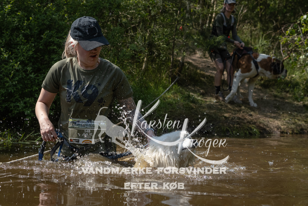 1515DKK990872 | kk-dogfotos