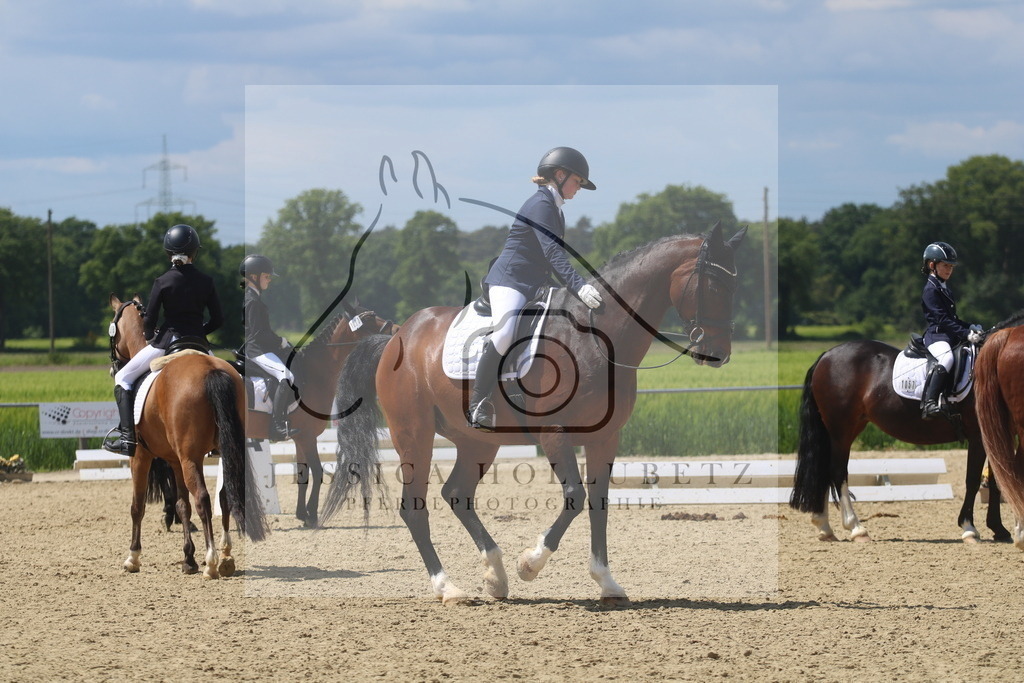 IMG_4596 | jessicahollubetz_pferdephotographie - Realisiert mit Pictrs.com