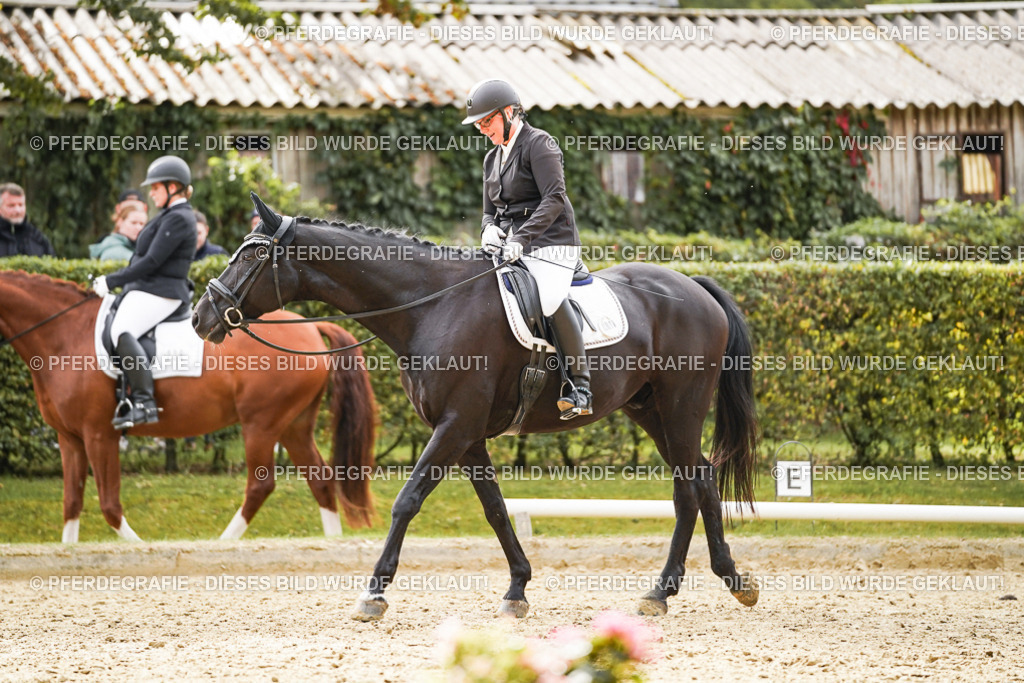 DSC01279 | Pferdegrafie