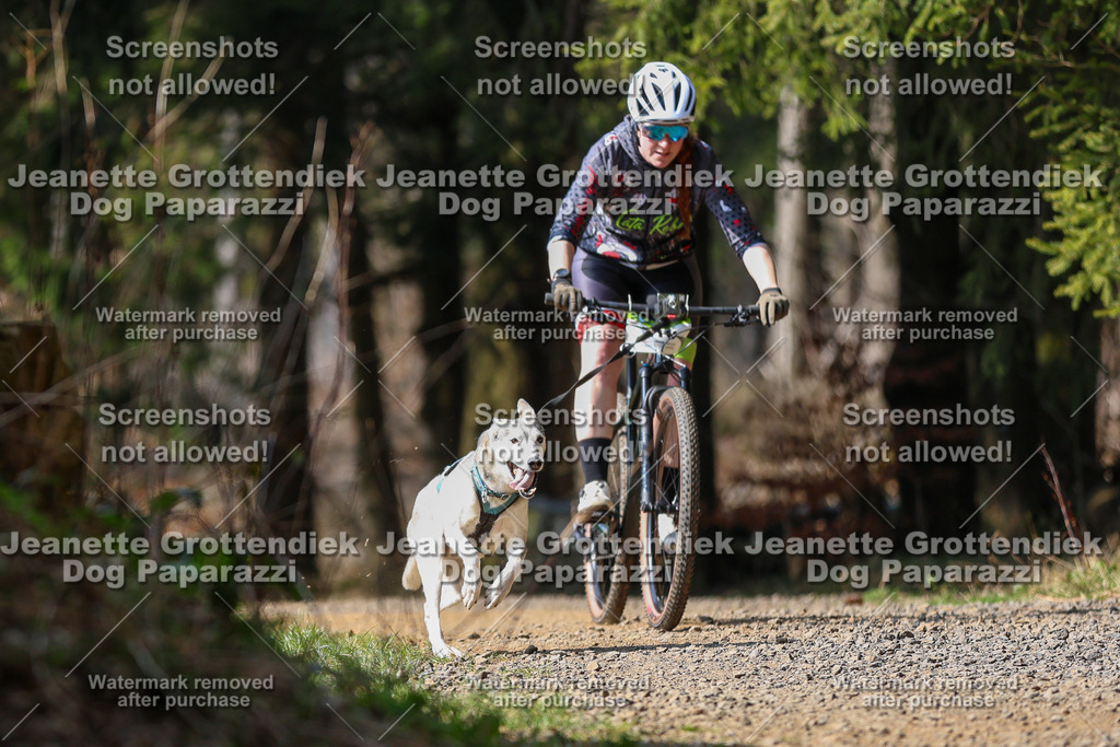 Dog Paparazzi - VCC26-248 | Dog Paparazzi Jeanette Grottendiek Fotografie & Videografie - Realisiert mit Pictrs.com