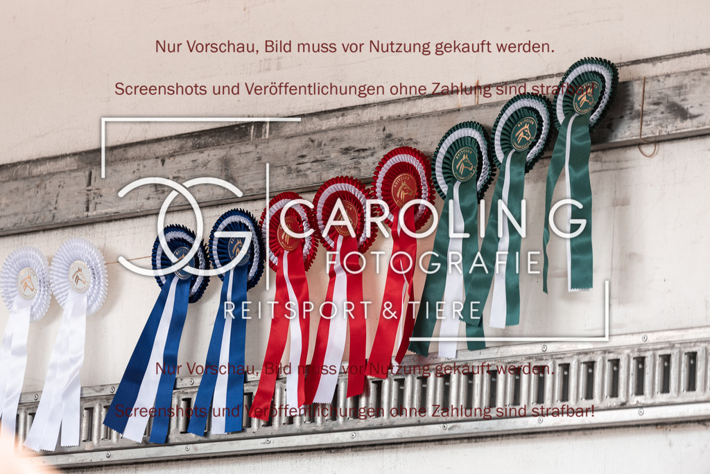 DSC_4851 | Turnierfotografin Carolin Gieschke, Turnierfotografie Carolin G Fotografie, Turnierfotos Kirchheim/Teck, Esslingen, Stuttgart, Bodenseekreis