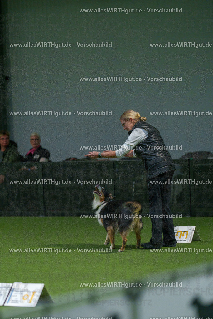 7R507578 | Professionelle Tierfotografie in Mönchengladbach von Daniel Wirth (allesWIRTHgut). Liebevolle & natürliche Bilder von Hunden & Katzen für unvergessliche Erinnerungen.