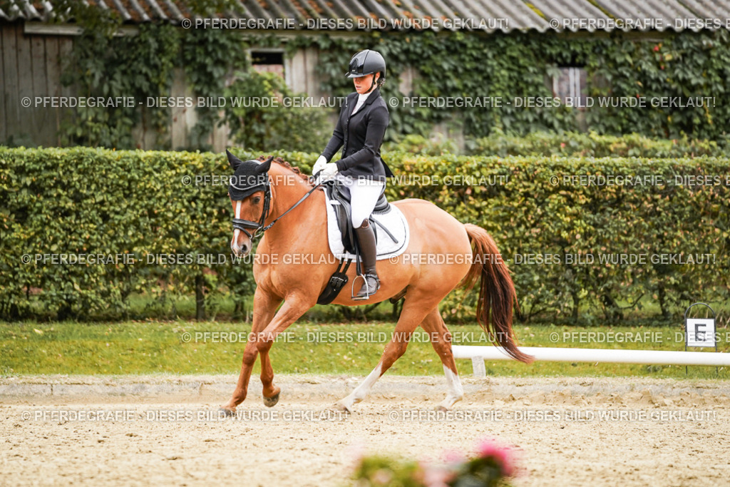 DSC08131 | Pferdegrafie