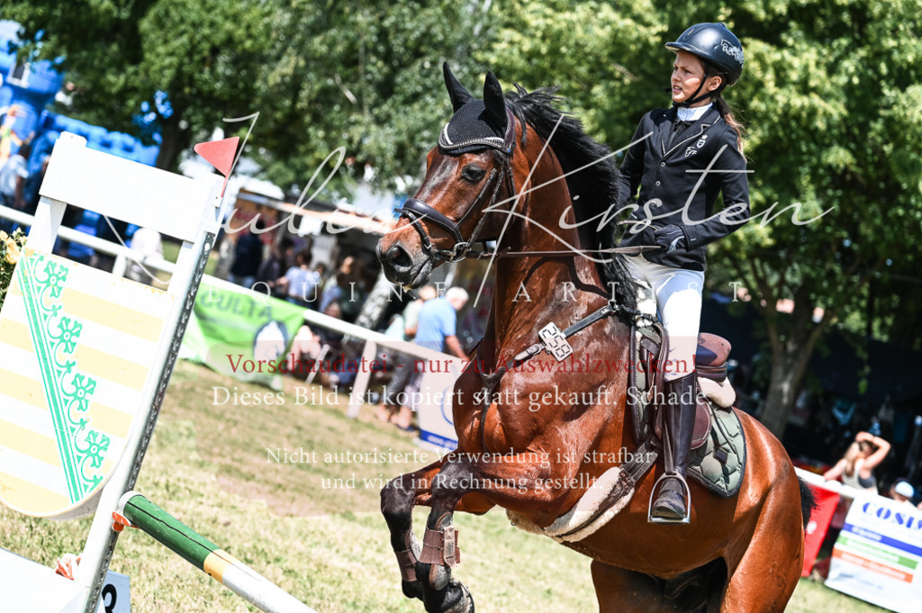 DSC_9862 | Pferde- und Turnierfotografie in Westsachsen. Pferdeportraits, Auftragszeichnungen und intuitive Kunst.
