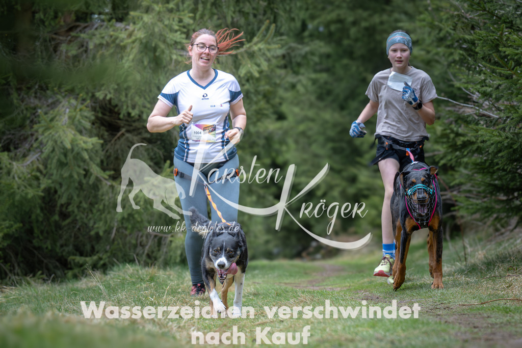 1304_ZZ93563 | kk-dogfotos