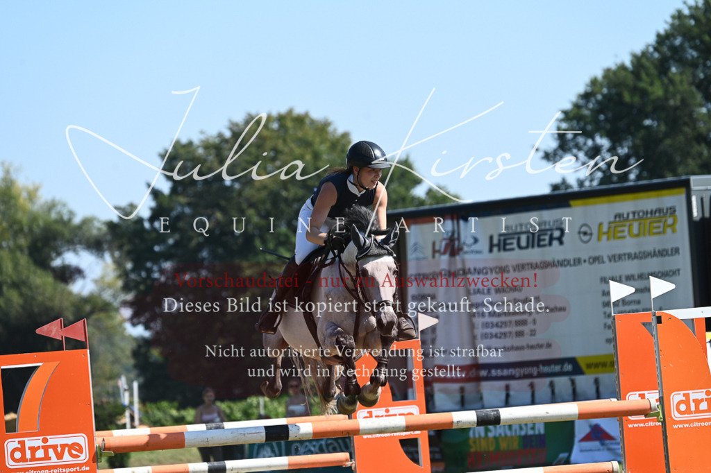 DSC_6355 | Pferde- und Turnierfotografie in Westsachsen. Pferdeportraits, Auftragszeichnungen und intuitive Kunst.