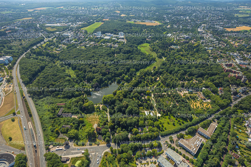 Dortmund220704933 | Luftbild, Rombergpark, grüne Lunge, Rombergpark-Lücklemberg, Dortmund, Ruhrgebiet, Nordrhein-Westfalen, Deutschland
