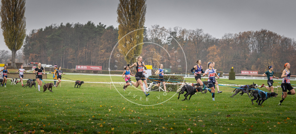CaniXpix_DV3A8744 | Hundefotografie, Tierfotograf, Pfotenfotografie, Fotoshooting Hund, Hunde Portrait, Hundesport, Hundeportraits, Heideshooting, Hunde, Sportfotograf, Hundefotograf, Turnierhundsport, THS,  - Realisiert mit Pictrs.com