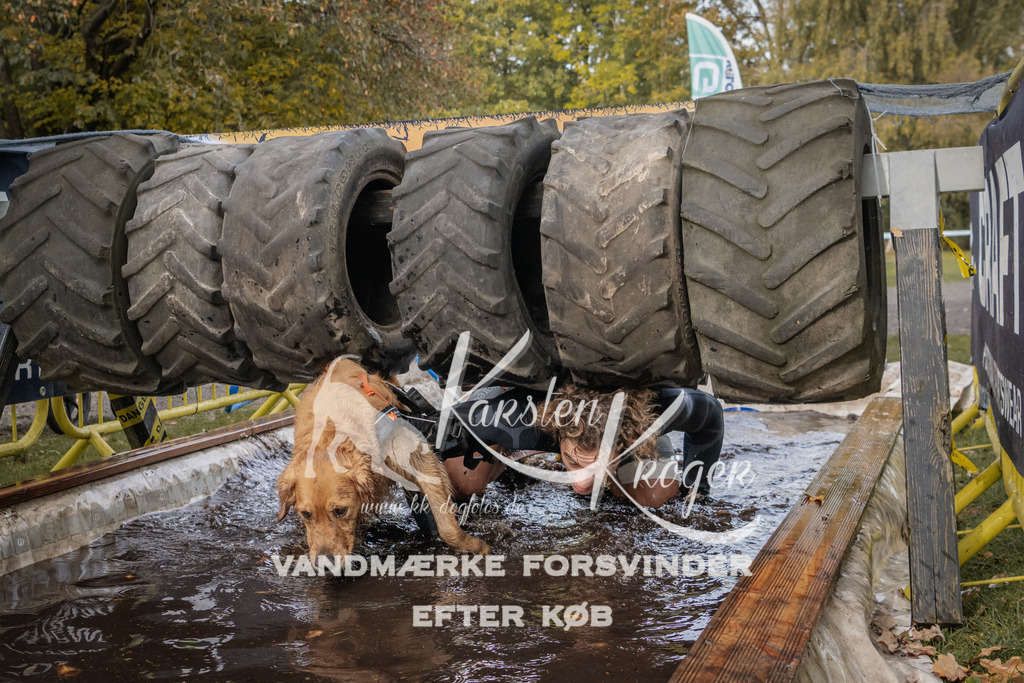 1449_ZZ90367 | kk-dogfotos