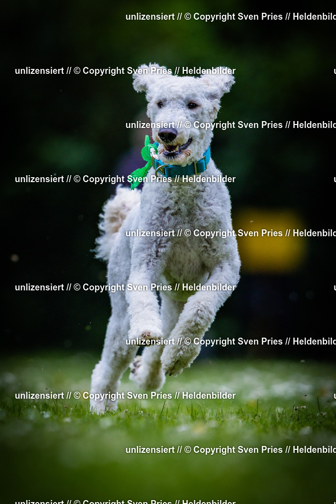 Sven Pries | 2025-05-29 - Pudelrennen KA-Durlach - Realisiert mit Pictrs.com