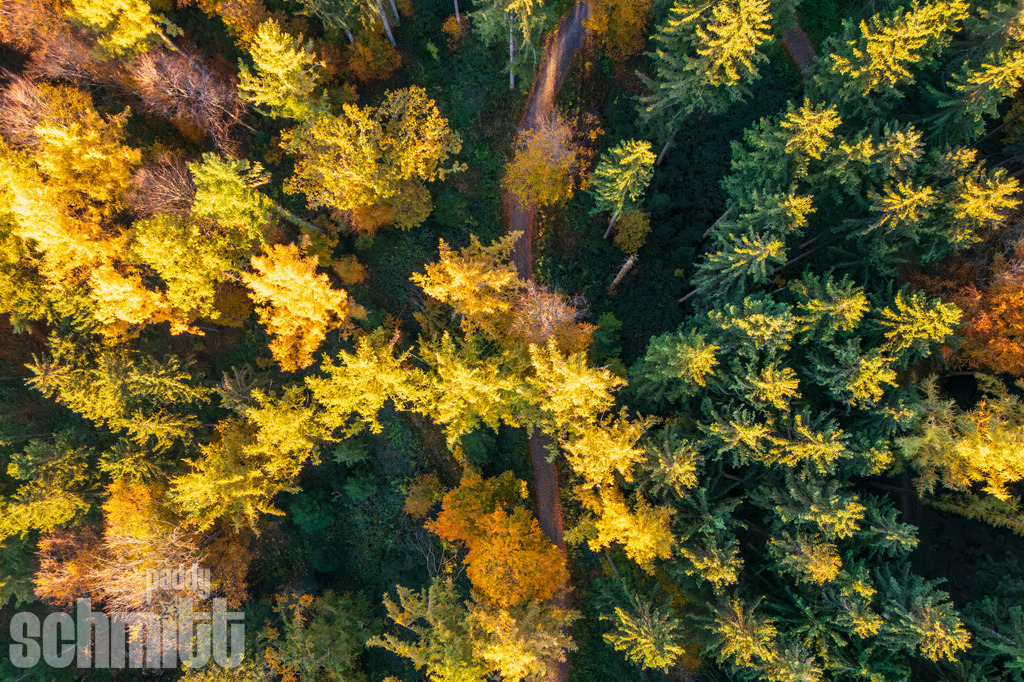 PS-Aerials-2026-01 | Entdecke die größte Bildgalerie der Region mit Fotografien aus dem Allgäu, der Bodenseeregion, Oberschwaben, dem Donautal und der Schwäbischen Alb. Landschaften, Luftaufnahmen und Reisefotografie als Wandbild und Fotokunst. - Realisiert mit Pictrs.com