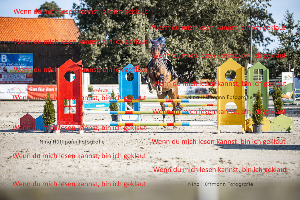 BK1A7445 | Turnierbilder Turnierfotos Nina Hüffmann Turnierfotografie Pferdefotografie Tierzeichnung Haustierzeichnung Pferdezeichnung Hundezeichnung Videograf  - Realisiert mit Pictrs.com