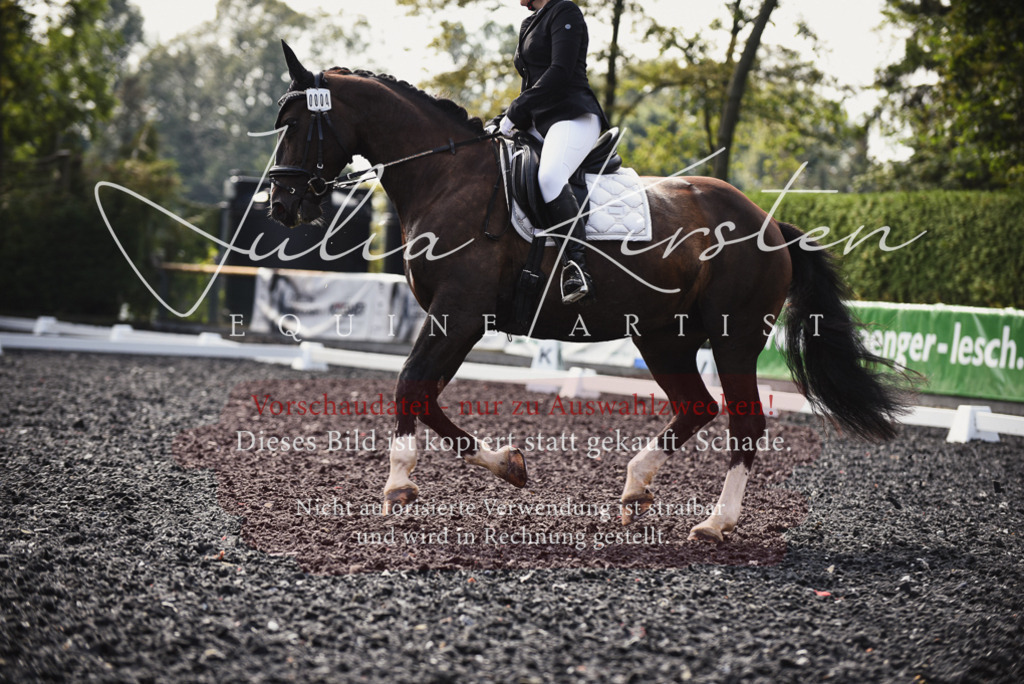 DSC_3633 | Pferde- und Turnierfotografie in Westsachsen. Pferdeportraits, Auftragszeichnungen und intuitive Kunst.