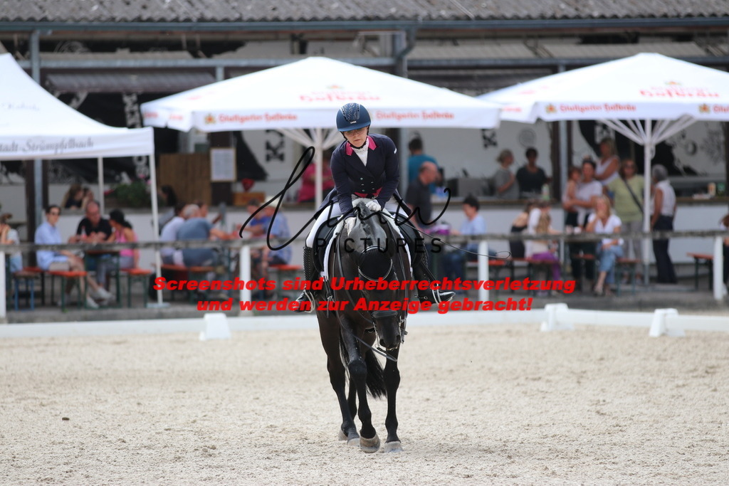 IMG_1669 | lmwpictures - Realisiert mit Pictrs.com