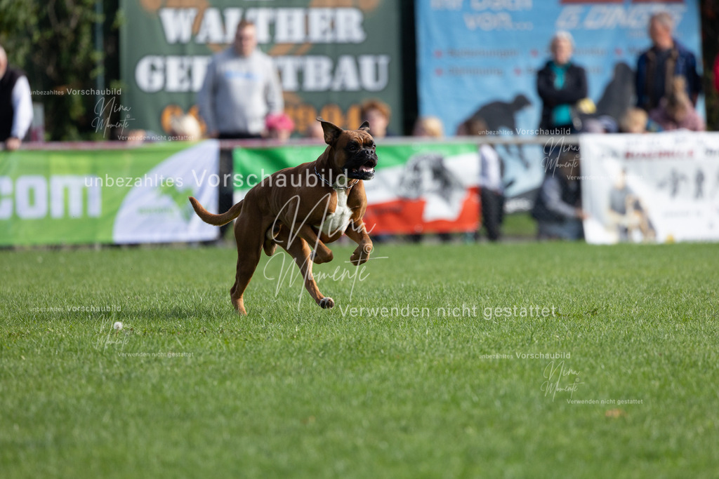 _16A5571 | Einzigartige Fotos von Hunden & Menschen –Actionfotos, Portraits, Vereinsaufnahmen & Paarshootings – authentisch, lebendig & mit Herz.