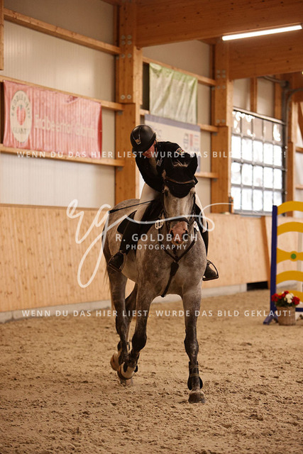 1J2A4233Alina Maack_ Karat du Scal__ Kn302_ Hohen Wieschendorf_ Glantz | Foto- und Videografie für alles rund ums Pferd. Hochwertige Bilder und Videos vom Spring- und Dressurreiten, Voltigieren & mehr. Jetzt aktuelle Veranstaltungen und Preise im Shop ansehen. - Realisiert mit Pictrs.com