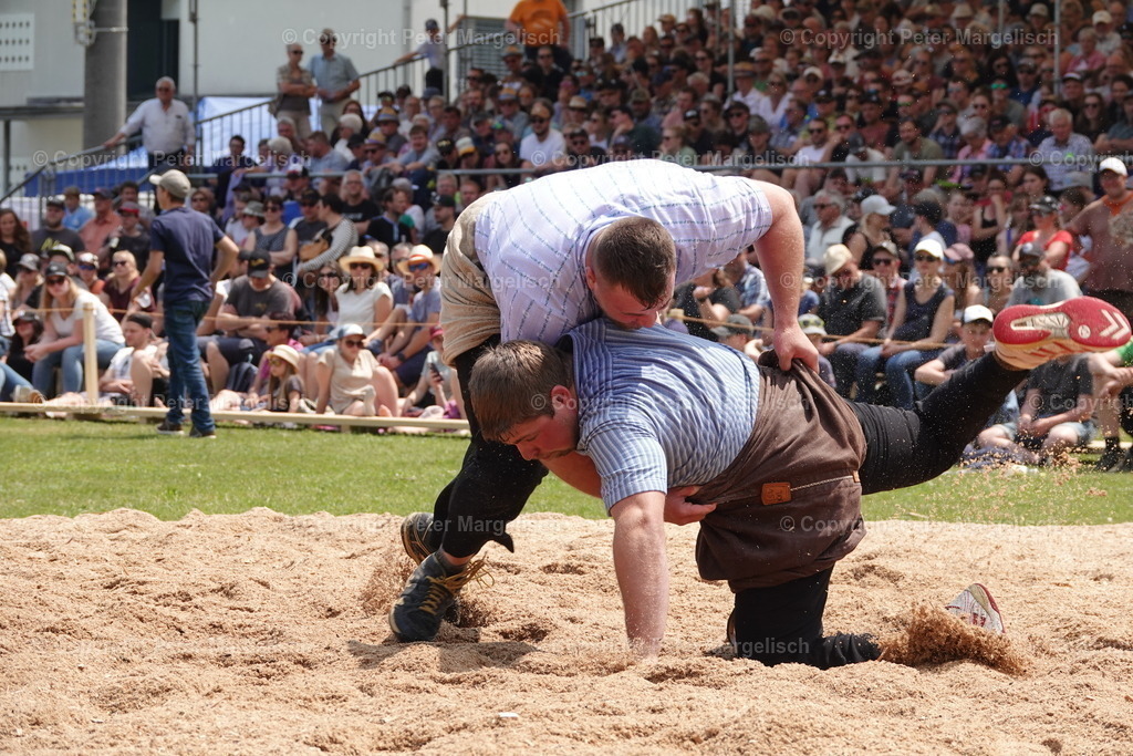 DSC04591 | Schwingen - Realisiert mit Pictrs.com