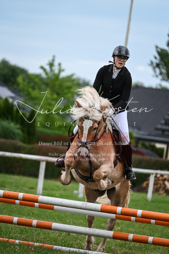 DSC_8403 | Pferde- und Turnierfotografie in Westsachsen. Pferdeportraits, Auftragszeichnungen und intuitive Kunst.