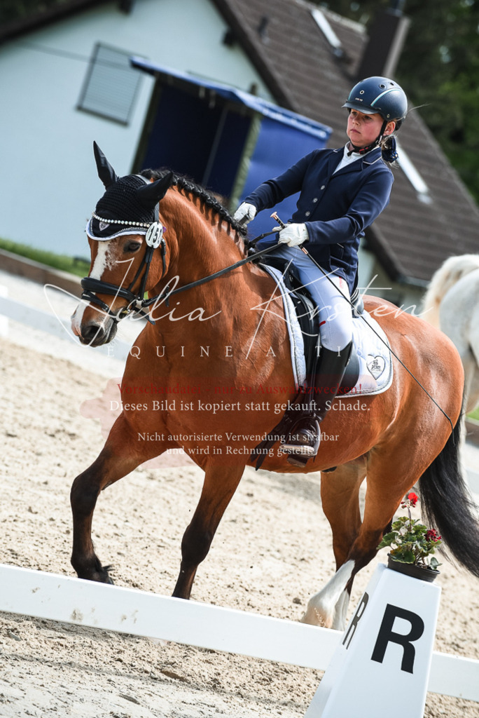 20230518_JK-Röhrsdorf-11-0657 | Pferde- und Turnierfotografie in Westsachsen. Pferdeportraits, Auftragszeichnungen und intuitive Kunst.