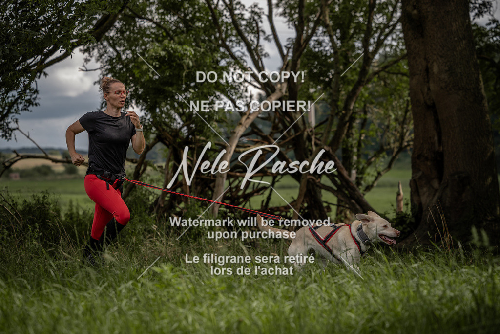 nelerasche_DoN_120 | nelerasche