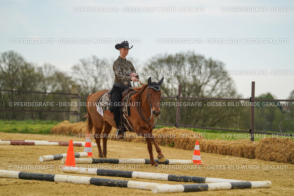 DSC02632 | Pferdegrafie