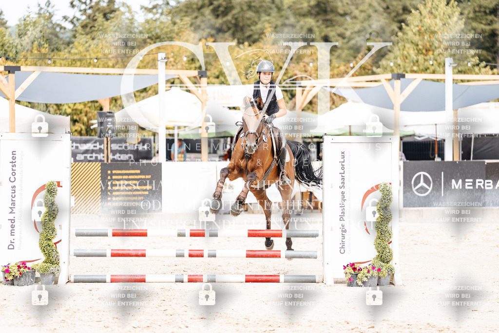 CK906593 | Turnierfotografie Pferdefotografie Trier Rheinland-Pfalz Pferdesport Reitsport Tierfotografie Sportfotografie Pferdevideo Pferdevideografie Equestrianvideography equestrianphotography  - Realisiert mit Pictrs.com