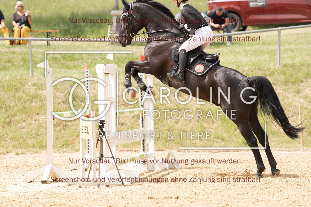 DSC06757 | Springturnier_Ehingen_Mai_2026, Emma_Lämmle, Dunhill_96
