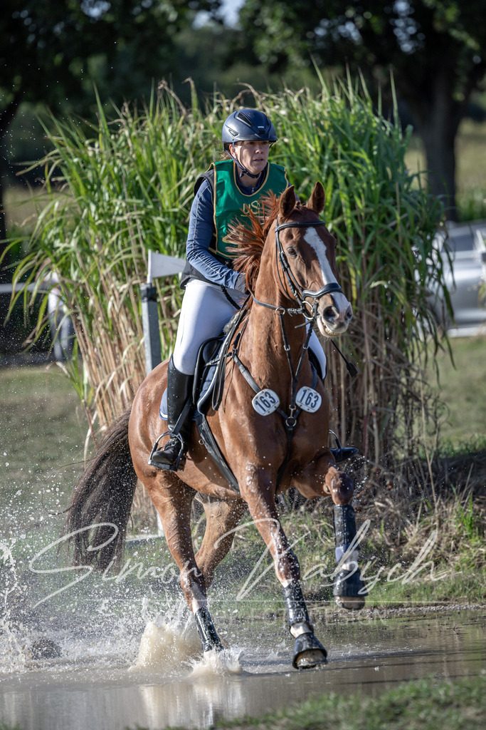 20250907-_3LI4502 | Tierfotografie Pferde, Hunde, Katzen, Haustiere.
Turnierfotografie Reitturniere, Reiten, Springreiten, Dressur in Hanau, dem Main-Kinzig-Kreis und dem Rhein-Main- Gebiet um Frankfurt