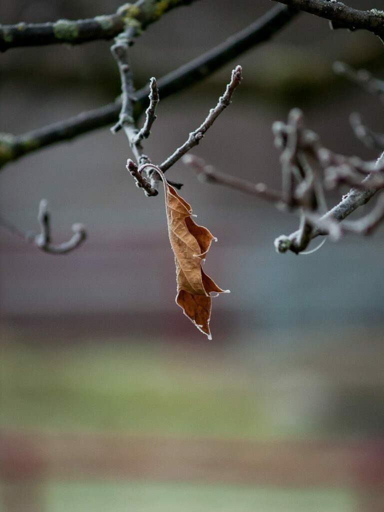 PSX_20221203_235121 | mtkfoto_ - Realisiert mit Pictrs.com