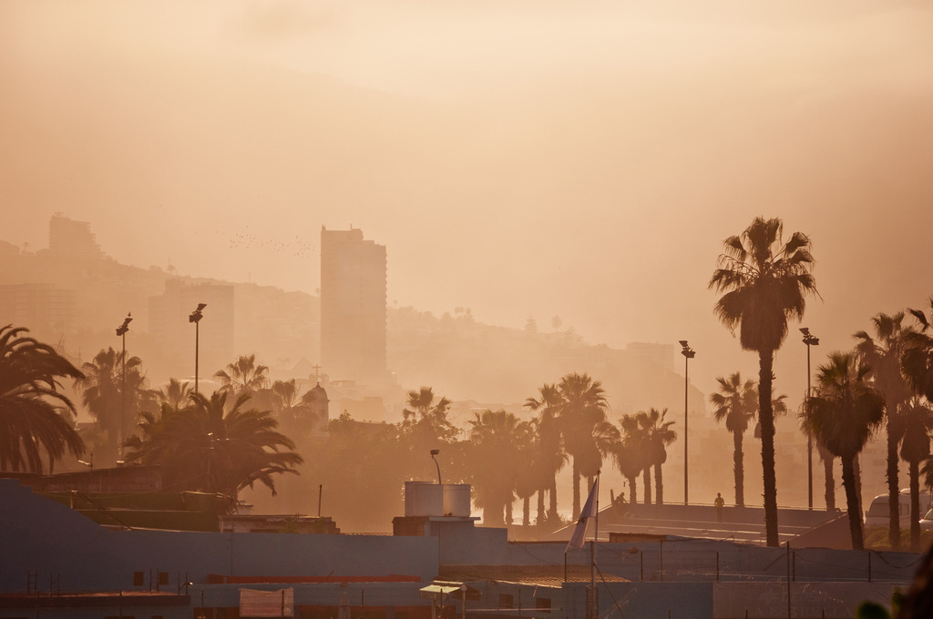 Puerto de la Cruz, Teneriffa | Online Shop für Christen: Christliche Poster XXL, Plakate, Wandbilder als Leinwand & christliche Postkarten, Kalender, Sticker & Lizenzen zum Download. Die Kunstwerke im christliche Geschenke Shop zeigen die Jahreslosung 2025, Gott, Jesus & mehr.